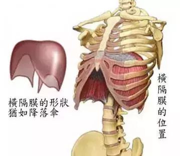 新生儿为什么爱打嗝？月嫂怎样对症下药、迅速止嗝！