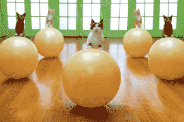 跟着我的节奏,一起来