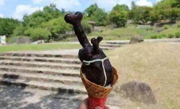 老干妈雪糕已经out啦！日本的这几款奇葩冰淇淋估计你不敢吃