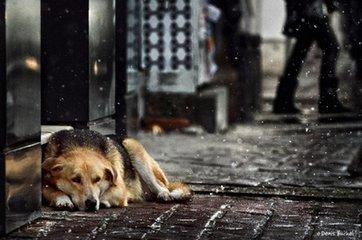 正文        我就这么在雨中流浪着,漫无目的的走着,我的身上也弄的