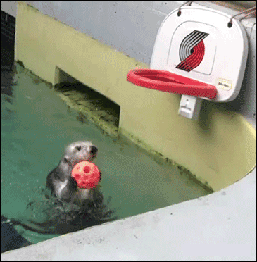 看后不信你不笑