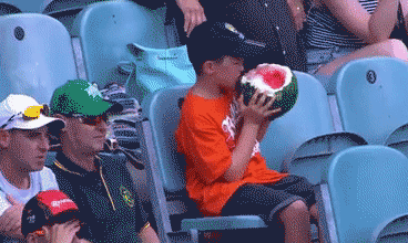 368_220gif 动态图 动图