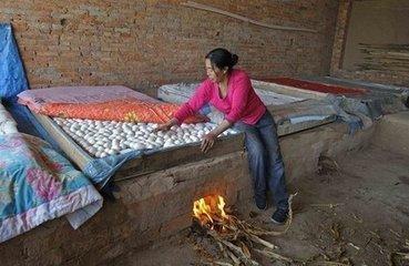 赵本山谈第一任老婆: 我虽然结婚但不知道什么叫爱情