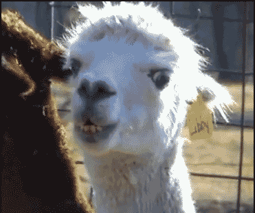 看尽职场百态,一组让人喷饭的gif图