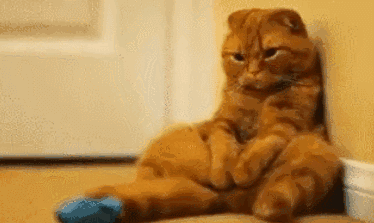 喵星人表情包,说的是不是你?