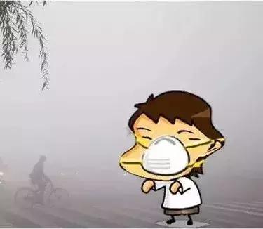 老家是农村的河北人恭喜了! 住房供地, 政府将