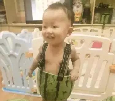 「爆笑」天气太热,来点搞笑图片降降温!