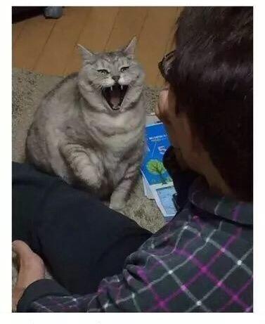 我的内心毫无波澜,甚至有点想笑!对于你这种过