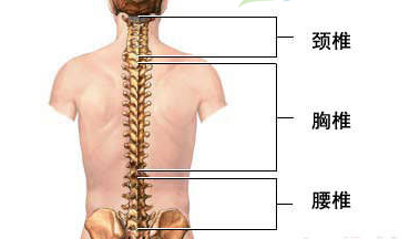 腰疼怎么办看看别人如何调理