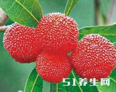 望梅止渴是什么原理?很多人或许理解错了