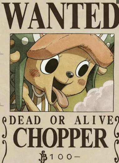 海贼王:科普向草帽海贼团悬赏金排名，乌索普排名第三有谁不服