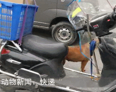 383_304gif 动态图 动图