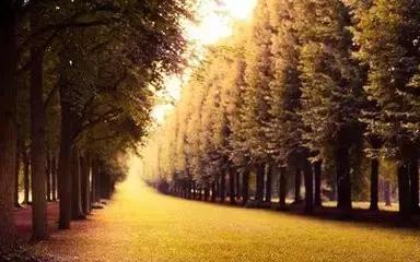 我累了,你倦了,我们好聚好散吧!