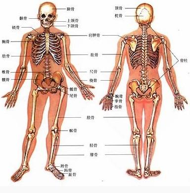 与车座接触的部位)或一侧(双侧)小腿外侧,足背外侧或内侧疼痛或麻