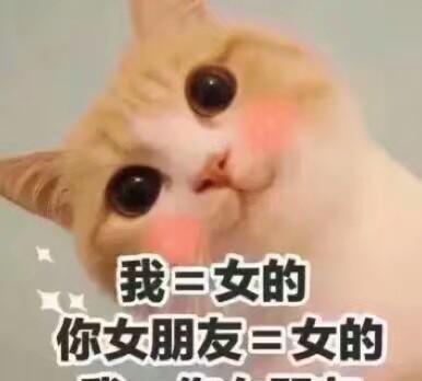猫最爱:我不是你表情的小甜甜了a最爱的小妹小鸟包信微 猫最爱:我不是你表情的小甜甜了a最爱的小妹小鸟包信微