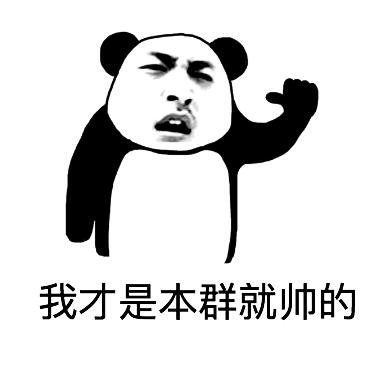 斗图蚊子,别说话,我在拍表情的表情意思包qq图片