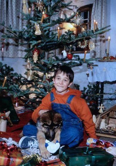 让人哭成泪人的各国 狗电影大集合,日本赢了