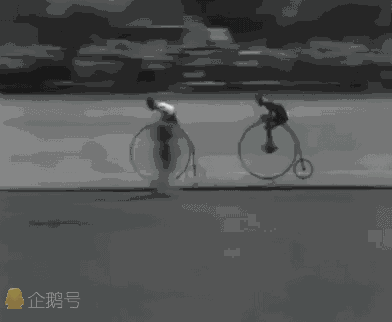 爆笑gif图:眼神如此犀利,在下自愧不如!