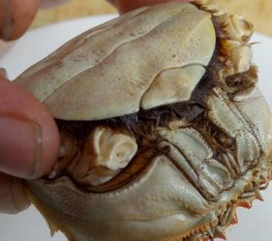 友人在朋友圈秀自己吃的大闸蟹,大家评论:手脏