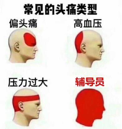 大学老师的月薪多少呀?四万多一点?!有准备留校任教同学吗?