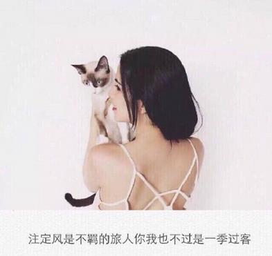 很现实不矫情的句子