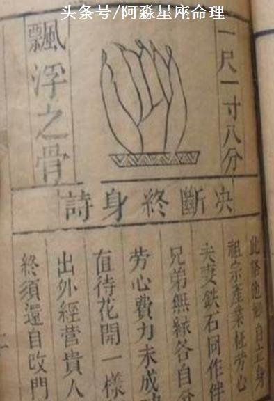 掐算神技:白鹤神算奉上!不用学,拿尺子看你手