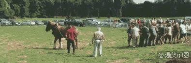 汽车动辄上百马力，那你知道1马力有多大力量吗？