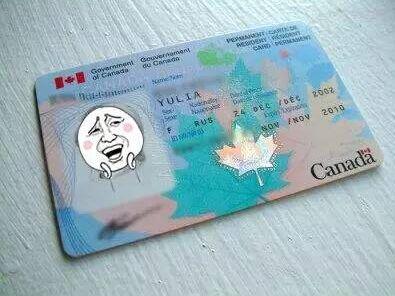加拿大移民文件为什么有一些照片，有的没有照片，是在右下角谁知道为什么吗？紧急！ ！ ！