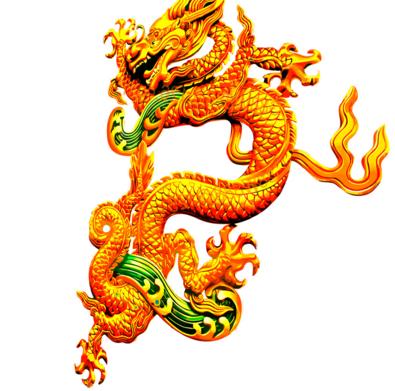 偷偷告诉你大金龙有一喜快接咯