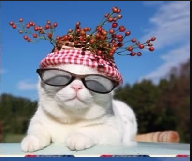 搞笑段子:女老师讲故事,开头恐怖,中间好笑,结局