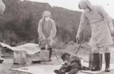 日本731部队在二战后下场到底是怎么样的?真