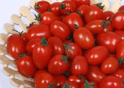 圣女果到底能不能减肥?