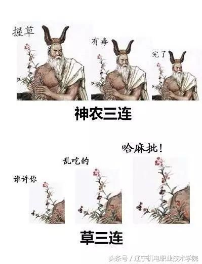 曹操三连:瞎扯淡 拖出去 砍了华佗三连:哎哟呵 这脑瓜 得开瓢扁鹊三连
