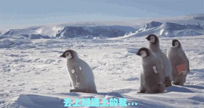 三缸车能不能买？雷凌卡罗拉混动怎么选？！