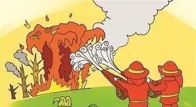 政府发布森林防火禁火令!严禁以下行为!最严追