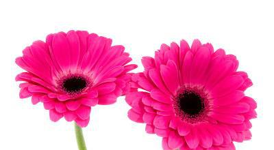 ��������ϱ������������һ�����飿