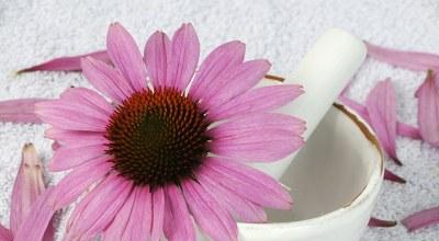 ÓÐÈý¸ö¶ùϱ¸¾£¬ÊÇÔõÑùµÄÒ»ÖÖÌåÑ飿