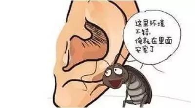 山西惠民耳鼻喉专家: 小东西, 大麻烦耳鼻喉异