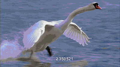 它融入了科幻的元素,站在2055年的时间点,往回追溯.