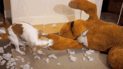 准备好了么,狗子还有30秒到达战场