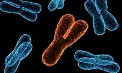 医生老公告诉我这样做可以提高生男孩的几率