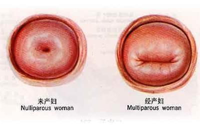 生过孩子和没生过孩子的女人有什么不一样?