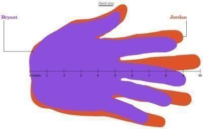 乔丹体测数据有多恐怖?科比再牛也被碾压