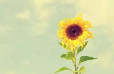 2018,放下过去,让心归零!