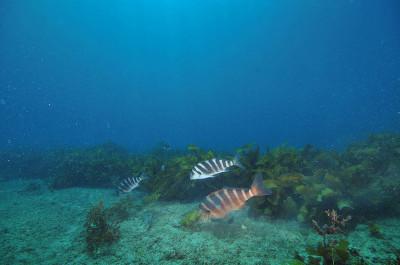 别幻想了,中国股市的艳阳天,这辈子都不可能