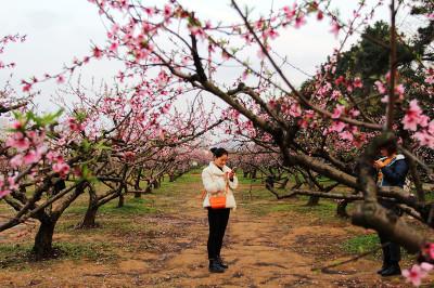 华中地区包括三个省,而以华中命名的211大学只