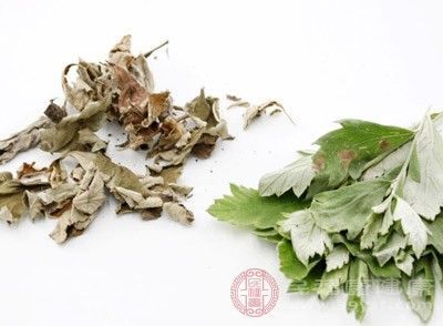 湿气重的人怎么排湿