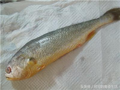 过年宴客大菜：雪菜大汤黄鱼，宁波十大名菜之一