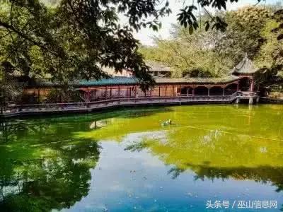 重庆各区县最高峰首次聚齐,巫山排名前三…