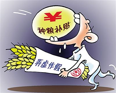农村人口粮食补贴政策_农村粮食补贴本图片